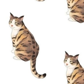 Tabby Cat Pattern
