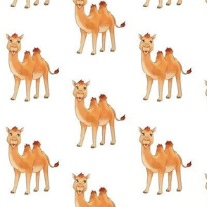 Camel Pattern