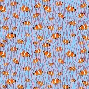 Clownfish in the coral