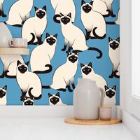 BIG Siamese Cats on blue (huge scale)