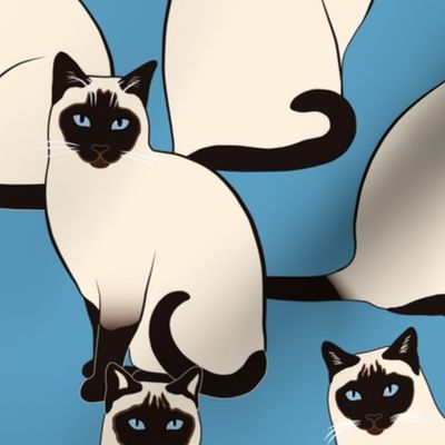 BIG Siamese Cats on blue (huge scale)