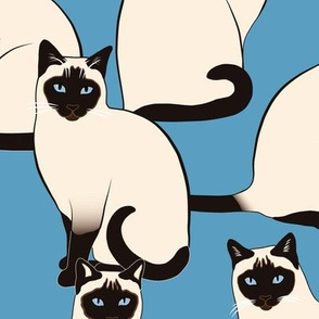BIG Siamese Cats on blue (huge scale)