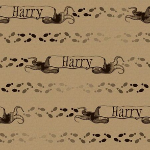 Custom Name Scroll Fabric (Harry)