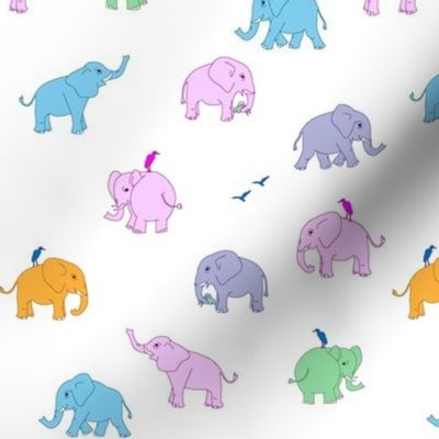 elephants multicolour