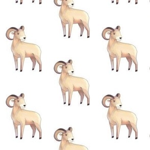 Bighorn Ram Pattern