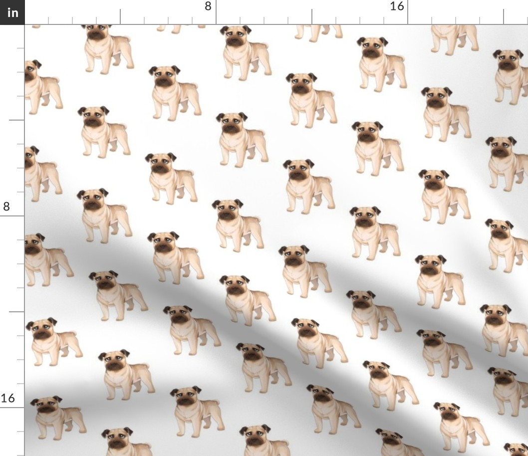 Pug Pattern