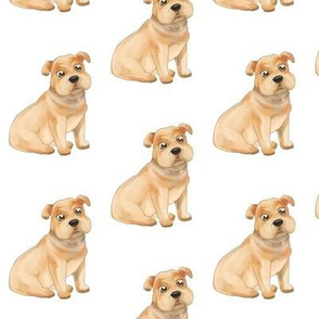 American Bulldog Pattern