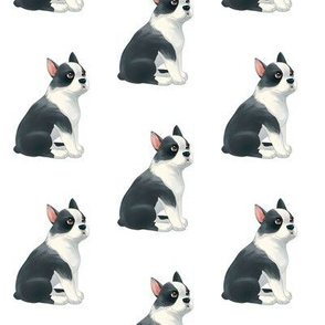 Boston Terrier Pattern