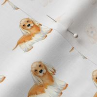 Cocker Spaniel Pattern