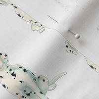 Dalmatian Pattern