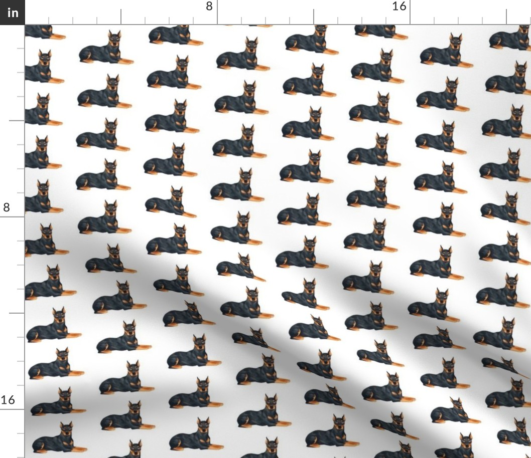 Doberman Pinscher Pattern