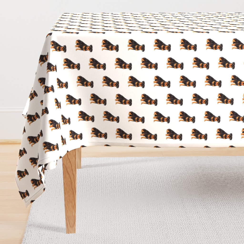Rottweiler Pattern