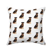 Rottweiler Pattern