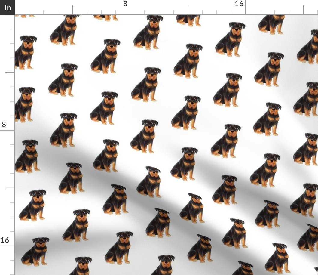 Rottweiler Pattern