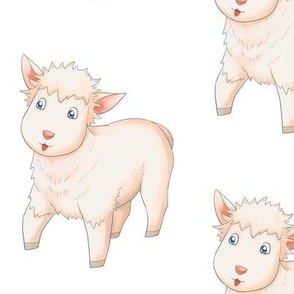 Lamb Pattern