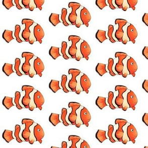 Clown Fish Pattern