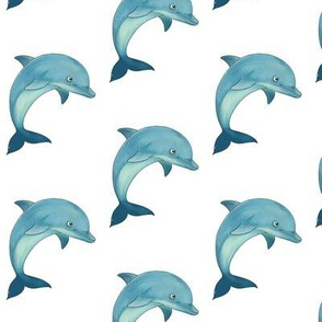 Dolphin Pattern