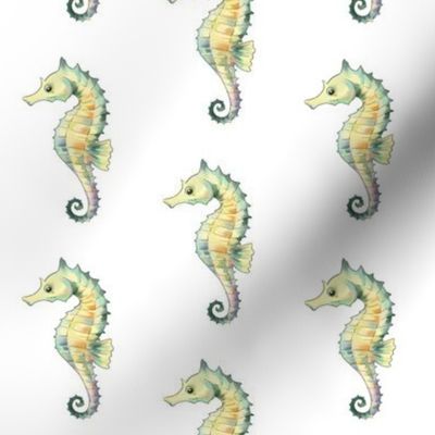 Seahorse Pattern