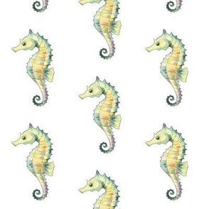 Seahorse Pattern