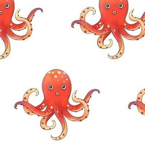 Octopus Pattern