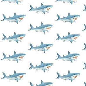 Shark Pattern