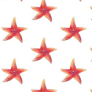 Starfish Pattern
