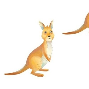 Kangaroo Pattern