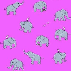 elephants grey pink