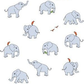 elephants light grey