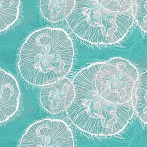 lagoon moon jellies