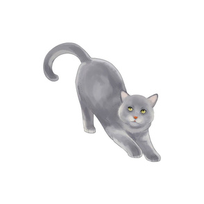 18" Gray Cat Design
