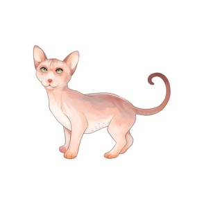 18" Sphynx Cat Design