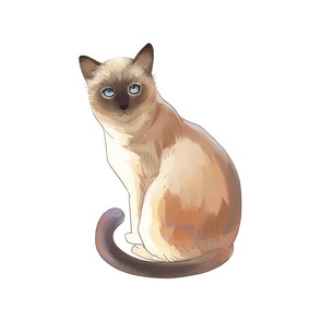 18" Siamese Cat Design