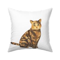 18" Tortoiseshell Cat Design