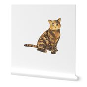 18" Tortoiseshell Cat Design