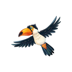 18" Toucan Design