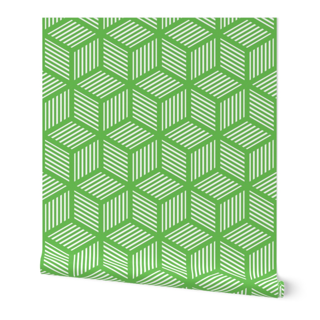 Geometric Pattern: Cube Stripe: Green