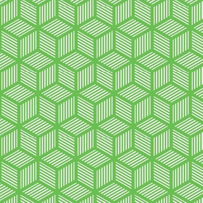 Geometric Pattern: Cube Stripe: Green