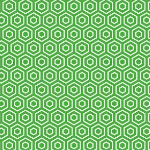 Geometric Pattern: Hexagon Ring: Green