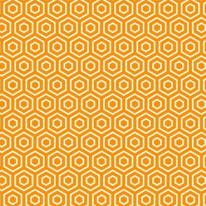 Geometric Pattern: Hexagon Ring: Orange