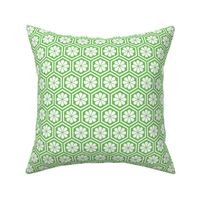 Geometric Pattern: Hexagon Flower: White/Green