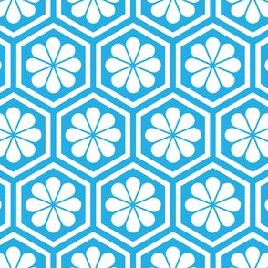 Geometric Pattern: Hexagon Flower: White/Blue