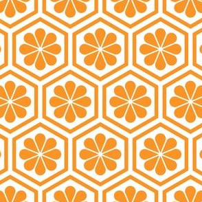 Geometric Pattern: Hexagon Flower: Orange/White