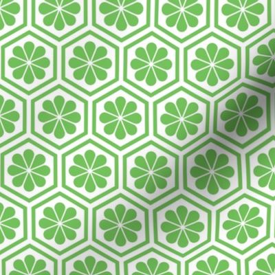 Geometric Pattern: Hexagon Flower: Green/White