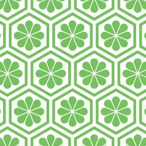 Geometric Pattern: Hexagon Flower: Green/White