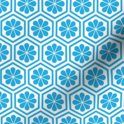 Geometric Pattern: Hexagon Flower: Blue/White
