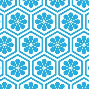 Geometric Pattern: Hexagon Flower: Blue/White