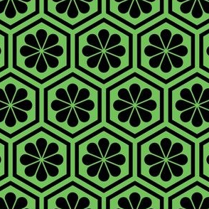 Geometric Pattern: Hexagon Flower: Black/Green
