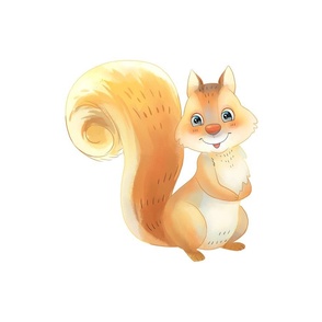 18" Squirrel Design