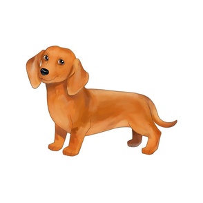 18" Dachshund Design